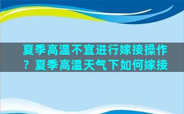 夏季高温不宜进行嫁接操作？夏季高温天气下如何嫁接