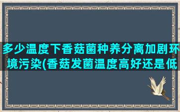 多少温度下香菇菌种养分离加剧环境污染(香菇发菌温度高好还是低点好)