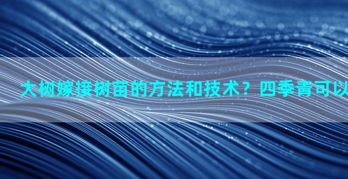 大树嫁接树苗的方法和技术？四季青可以嫁接什么树