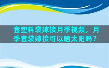 套塑料袋嫁接月季视频，月季套袋嫁接可以晒太阳吗？