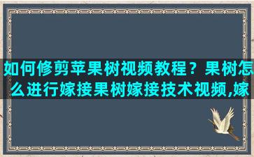 如何修剪苹果树视频教程？果树怎么进行嫁接果树嫁接技术视频,嫁接方法图解