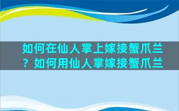 如何在仙人掌上嫁接蟹爪兰？如何用仙人掌嫁接蟹爪兰