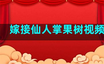 嫁接仙人掌果树视频教程