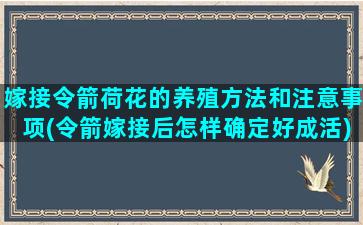 嫁接令箭荷花的养殖方法和注意事项(令箭嫁接后怎样确定好成活)