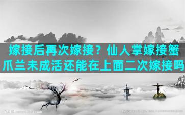 嫁接后再次嫁接？仙人掌嫁接蟹爪兰未成活还能在上面二次嫁接吗