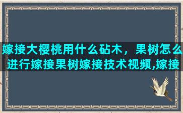 嫁接大樱桃用什么砧木，果树怎么进行嫁接果树嫁接技术视频,嫁接方法图解