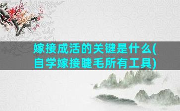 嫁接成活的关键是什么(自学嫁接睫毛所有工具)