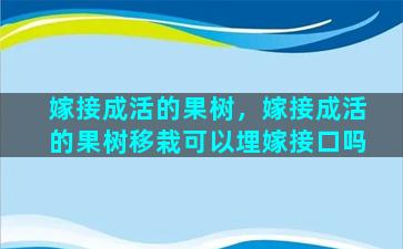 嫁接成活的果树，嫁接成活的果树移栽可以埋嫁接口吗