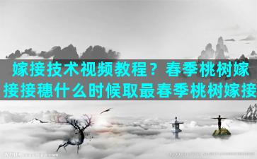 嫁接技术视频教程？春季桃树嫁接接穗什么时候取最春季桃树嫁接