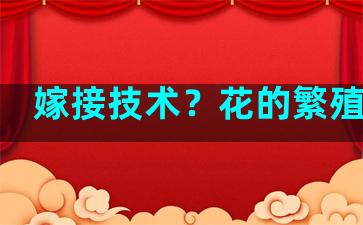 嫁接技术？花的繁殖过程