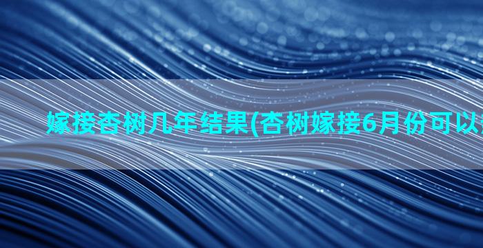 嫁接杏树几年结果(杏树嫁接6月份可以热粘皮吗)