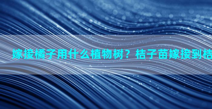 嫁接橘子用什么植物树？桔子苗嫁接到桔子树上好吗