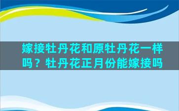 嫁接牡丹花和原牡丹花一样吗？牡丹花正月份能嫁接吗