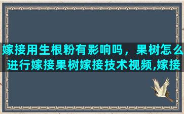 嫁接用生根粉有影响吗，果树怎么进行嫁接果树嫁接技术视频,嫁接方法图解