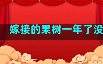 嫁接的果树一年了没长果