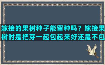 嫁接的果树种子能留种吗？嫁接果树时是把芽一起包起来好还是不包好请指教一下谢谢了