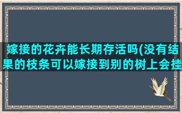 嫁接的花卉能长期存活吗(没有结果的枝条可以嫁接到别的树上会挂果吗)