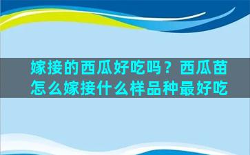 嫁接的西瓜好吃吗？西瓜苗怎么嫁接什么样品种最好吃