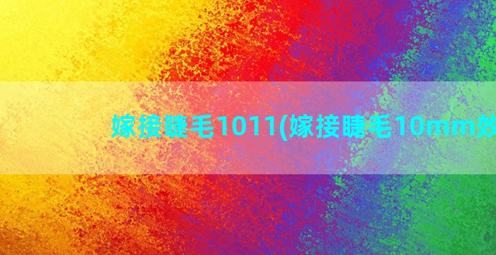 嫁接睫毛1011(嫁接睫毛10mm效果图)