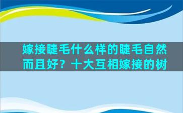 嫁接睫毛什么样的睫毛自然而且好？十大互相嫁接的树