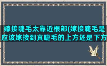 嫁接睫毛太靠近根部(嫁接睫毛是应该嫁接到真睫毛的上方还是下方)