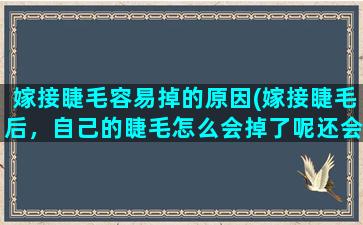 嫁接睫毛容易掉的原因(嫁接睫毛后，自己的睫毛怎么会掉了呢还会长出来吗)