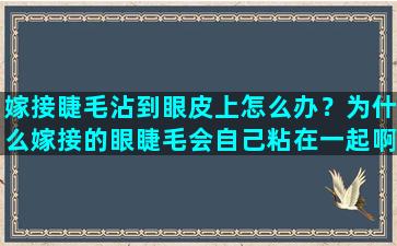 嫁接睫毛沾到眼皮上怎么办？为什么嫁接的眼睫毛会自己粘在一起啊