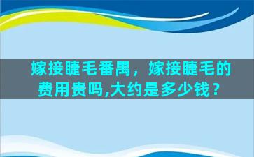 嫁接睫毛番禺，嫁接睫毛的费用贵吗,大约是多少钱？