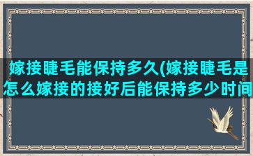 嫁接睫毛能保持多久(嫁接睫毛是怎么嫁接的接好后能保持多少时间不掉)