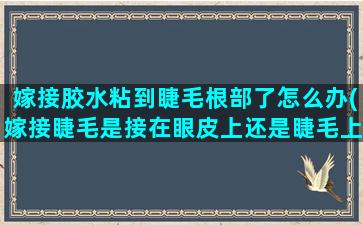 嫁接胶水粘到睫毛根部了怎么办(嫁接睫毛是接在眼皮上还是睫毛上)