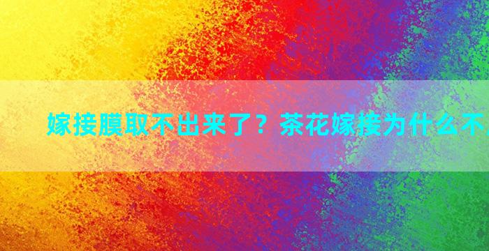 嫁接膜取不出来了？茶花嫁接为什么不用嵌芽接