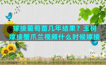 嫁接葡萄苗几年结果？玉树嫁接蟹爪兰视频什么时候嫁接