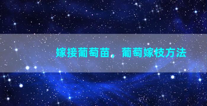 嫁接葡萄苗，葡萄嫁枝方法