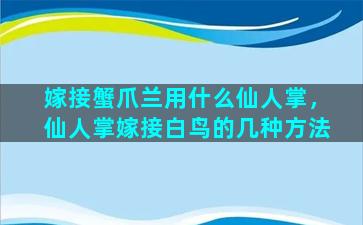 嫁接蟹爪兰用什么仙人掌，仙人掌嫁接白鸟的几种方法