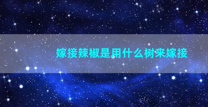 嫁接辣椒是用什么树来嫁接