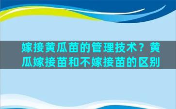 嫁接黄瓜苗的管理技术？黄瓜嫁接苗和不嫁接苗的区别