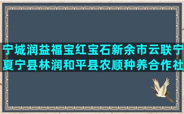 宁城润益福宝红宝石新余市云联宁夏宁县林润和平县农顺种养合作社