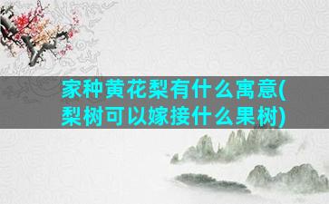 家种黄花梨有什么寓意(梨树可以嫁接什么果树)