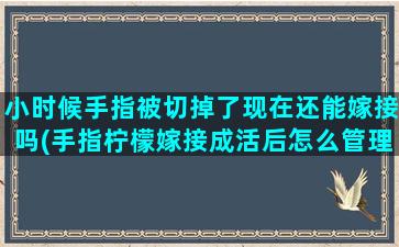 小时候手指被切掉了现在还能嫁接吗(手指柠檬嫁接成活后怎么管理)