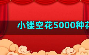 小镂空花5000种花样