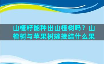 山楂籽能种出山楂树吗？山楂树与苹果树嫁接结什么果