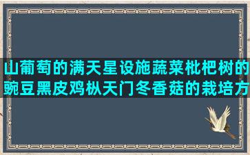 山葡萄的满天星设施蔬菜枇杷树的豌豆黑皮鸡枞天门冬香菇的栽培方法