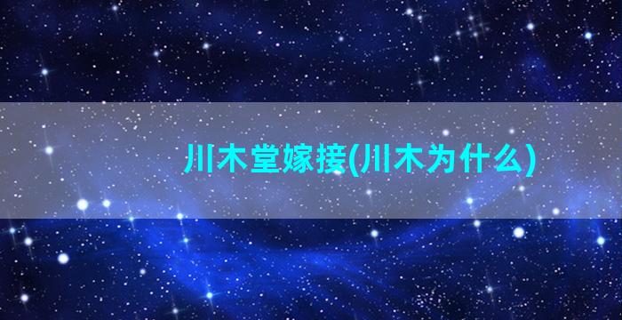 川木堂嫁接(川木为什么)