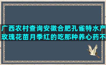 广西农村查询安徽合肥孔雀特水产玫瑰花苗月季红的吃那种养心药不上火(广西农村新农合查询)