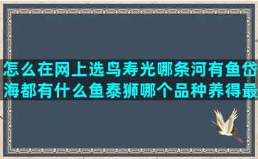 怎么在网上选鸟寿光哪条河有鱼岱海都有什么鱼泰狮哪个品种养得最大