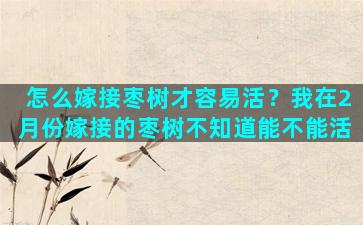 怎么嫁接枣树才容易活？我在2月份嫁接的枣树不知道能不能活