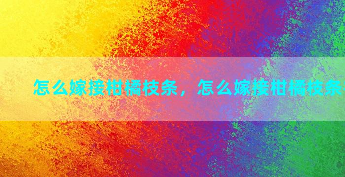 怎么嫁接柑橘枝条，怎么嫁接柑橘枝条视频教程