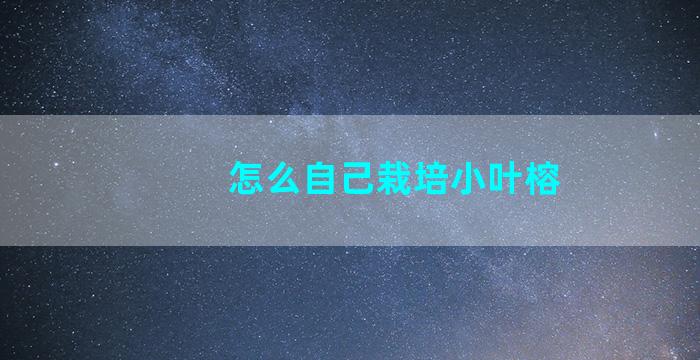 怎么自己栽培小叶榕