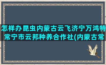 怎样办昆虫内蒙古云飞济宁万鸿特常宁市云邦种养合作社(内蒙古常见昆虫图鉴)