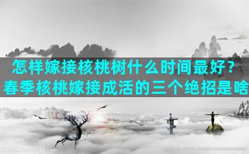 怎样嫁接核桃树什么时间最好？春季核桃嫁接成活的三个绝招是啥